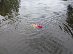 Mainschwimmen Juni 2026